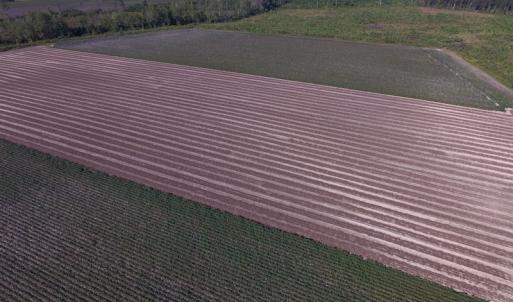 Photo of UNDER CONTRACT!  118 Acres of Farm and Timber Land For Sale in Suffolk VA!