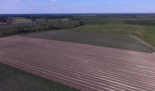 Photo of UNDER CONTRACT!  118 Acres of Farm and Timber Land For Sale in Suffolk VA!