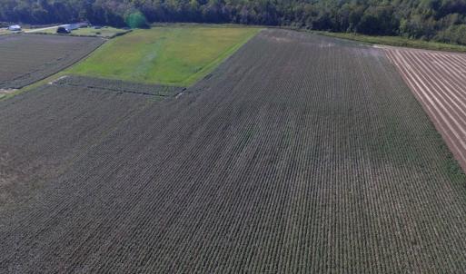 Photo of UNDER CONTRACT!  118 Acres of Farm and Timber Land For Sale in Suffolk VA!