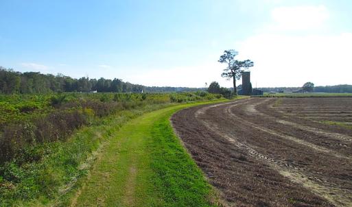 Photo of UNDER CONTRACT!  118 Acres of Farm and Timber Land For Sale in Suffolk VA!