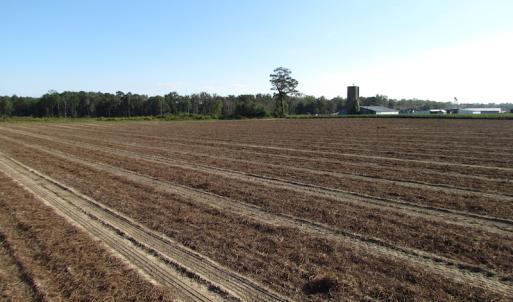 Photo of UNDER CONTRACT!  118 Acres of Farm and Timber Land For Sale in Suffolk VA!