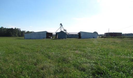 Photo of UNDER CONTRACT!  118 Acres of Farm and Timber Land For Sale in Suffolk VA!