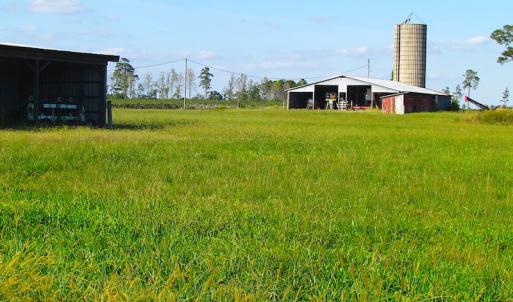 Photo of UNDER CONTRACT!  118 Acres of Farm and Timber Land For Sale in Suffolk VA!