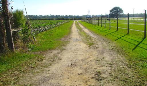 Photo of UNDER CONTRACT!  118 Acres of Farm and Timber Land For Sale in Suffolk VA!