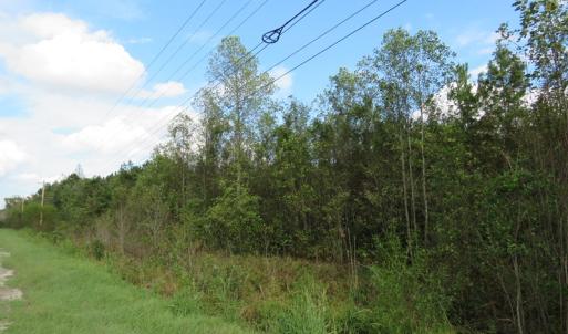 Photo of UNDER CONTRACT!  70 Acres of Hunting Land For Sale in Robeson County NC!