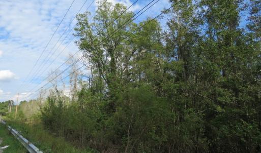 Photo of UNDER CONTRACT!  70 Acres of Hunting Land For Sale in Robeson County NC!