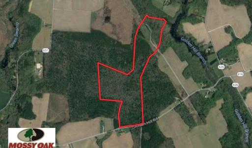 Photo of UNDER CONTRACT!  104 Acres of Hunting and Timber Land For Sale in Surry County VA!