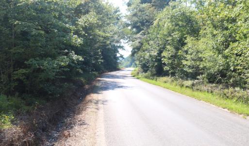 Photo of UNDER CONTRACT!  104 Acres of Hunting and Timber Land For Sale in Surry County VA!
