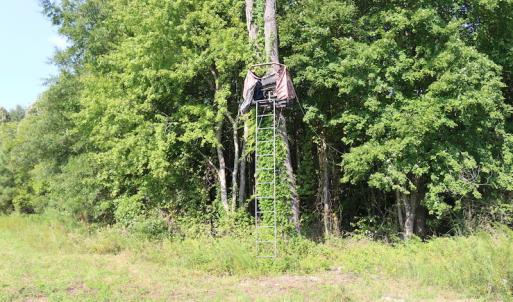 Photo of UNDER CONTRACT!  104 Acres of Hunting and Timber Land For Sale in Surry County VA!