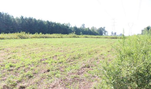 Photo of UNDER CONTRACT!  104 Acres of Hunting and Timber Land For Sale in Surry County VA!