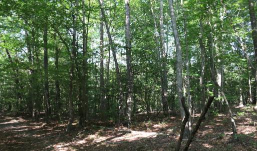 Photo of UNDER CONTRACT!  104 Acres of Hunting and Timber Land For Sale in Surry County VA!