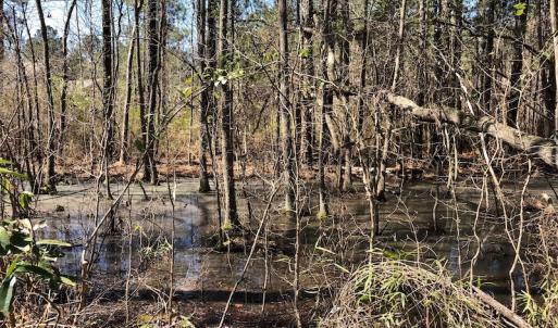 Photo of UNDER CONTRACT!  11.77 Acres of Residential and Hunting land for Sale in Harnett County, NC!