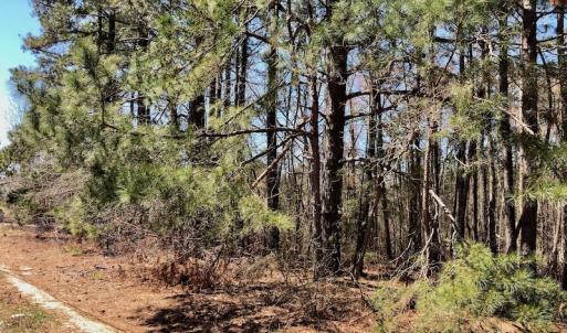 Photo of UNDER CONTRACT!  11.77 Acres of Residential and Hunting land for Sale in Harnett County, NC!