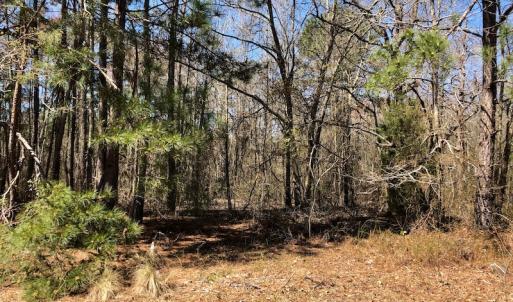 Photo of UNDER CONTRACT!  11.77 Acres of Residential and Hunting land for Sale in Harnett County, NC!