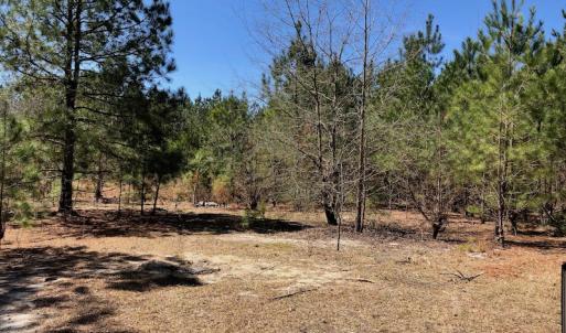 Photo of UNDER CONTRACT!  11.77 Acres of Residential and Hunting land for Sale in Harnett County, NC!