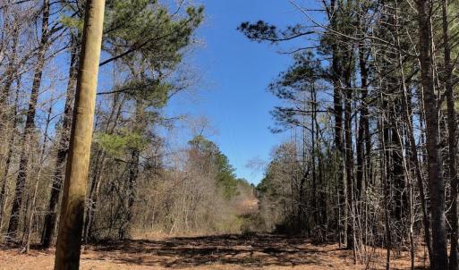 Photo of UNDER CONTRACT!  11.77 Acres of Residential and Hunting land for Sale in Harnett County, NC!