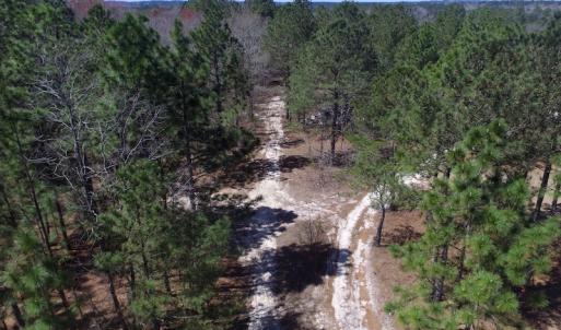 Photo of UNDER CONTRACT!  11.77 Acres of Residential and Hunting land for Sale in Harnett County, NC!