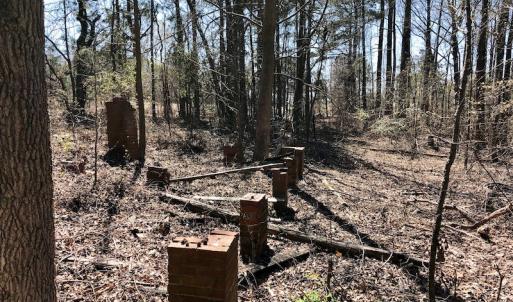 Photo of UNDER CONTRACT!  11.77 Acres of Residential and Hunting land for Sale in Harnett County, NC!