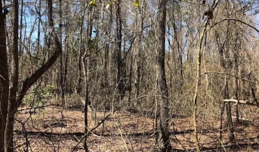 Photo of UNDER CONTRACT!  11.77 Acres of Residential and Hunting land for Sale in Harnett County, NC!