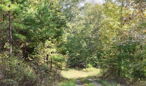 Photo of UNDER CONTRACT!  5 Acres of Residential Waterfront Land For Sale in Bedford County VA!