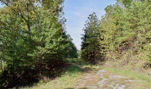 Photo of UNDER CONTRACT!  5 Acres of Residential Waterfront Land For Sale in Bedford County VA!
