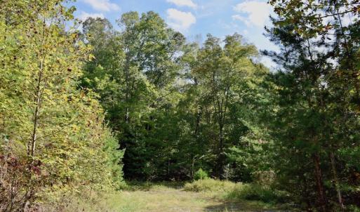 Photo of UNDER CONTRACT!  5 Acres of Residential Waterfront Land For Sale in Bedford County VA!