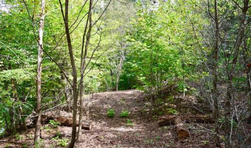 Photo of UNDER CONTRACT!  5 Acres of Residential Waterfront Land For Sale in Bedford County VA!