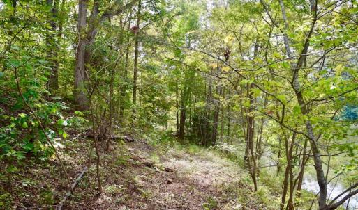 Photo of UNDER CONTRACT!  5 Acres of Residential Waterfront Land For Sale in Bedford County VA!