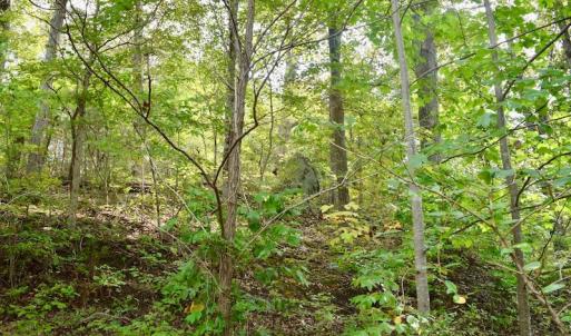 Photo of UNDER CONTRACT!  5 Acres of Residential Waterfront Land For Sale in Bedford County VA!