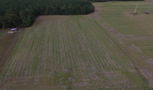 Photo of UNDER CONTRACT!  5 Acres of  Cleared Building Land For Sale in Suffolk County VA!