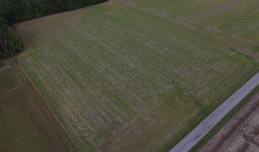 Photo of UNDER CONTRACT!  5 Acres of  Cleared Building Land For Sale in Suffolk County VA!
