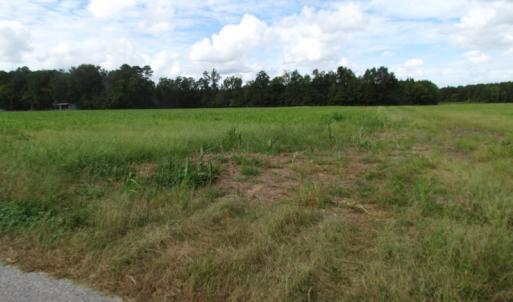 Photo of UNDER CONTRACT!  5 Acres of  Cleared Building Land For Sale in Suffolk County VA!