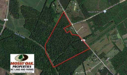 Photo of UNDER CONTRACT!  47 Acres of Timber and Hunting Land For Sale in Pitt County NC!
