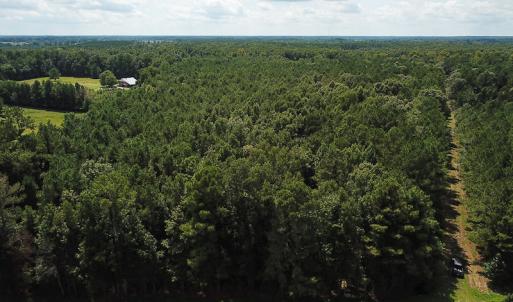 Photo of UNDER CONTRACT!  47 Acres of Timber and Hunting Land For Sale in Pitt County NC!
