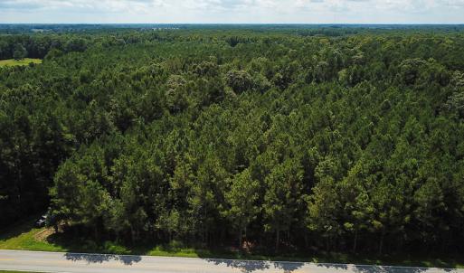 Photo of UNDER CONTRACT!  47 Acres of Timber and Hunting Land For Sale in Pitt County NC!