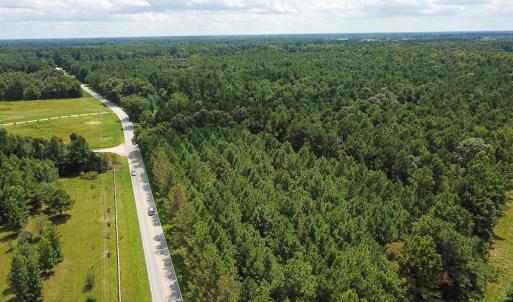 Photo of UNDER CONTRACT!  47 Acres of Timber and Hunting Land For Sale in Pitt County NC!