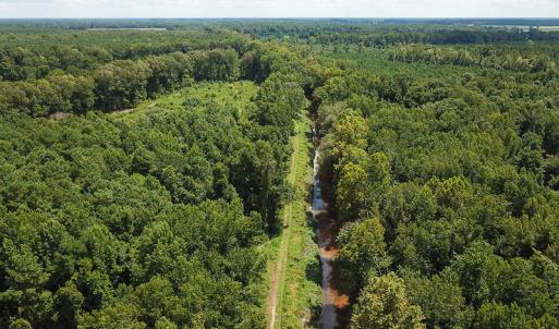 Photo of UNDER CONTRACT!  47 Acres of Timber and Hunting Land For Sale in Pitt County NC!