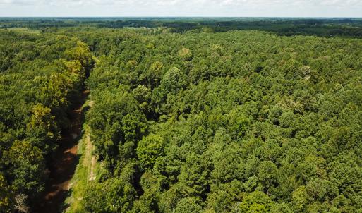 Photo of UNDER CONTRACT!  47 Acres of Timber and Hunting Land For Sale in Pitt County NC!