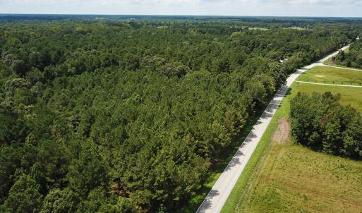 Photo of UNDER CONTRACT!  47 Acres of Timber and Hunting Land For Sale in Pitt County NC!