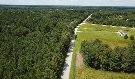Photo of UNDER CONTRACT!  47 Acres of Timber and Hunting Land For Sale in Pitt County NC!