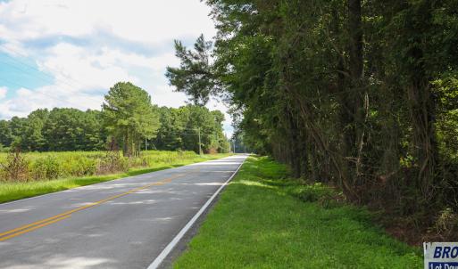 Photo of UNDER CONTRACT!  47 Acres of Timber and Hunting Land For Sale in Pitt County NC!