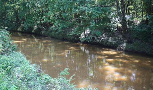 Photo of UNDER CONTRACT!  47 Acres of Timber and Hunting Land For Sale in Pitt County NC!