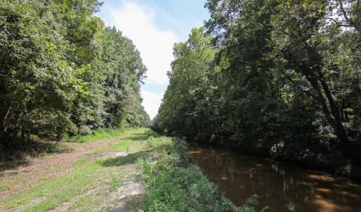 Photo of UNDER CONTRACT!  47 Acres of Timber and Hunting Land For Sale in Pitt County NC!