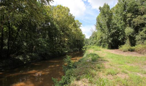 Photo of UNDER CONTRACT!  47 Acres of Timber and Hunting Land For Sale in Pitt County NC!