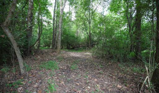 Photo of UNDER CONTRACT!  47 Acres of Timber and Hunting Land For Sale in Pitt County NC!