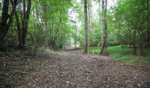 Photo of UNDER CONTRACT!  47 Acres of Timber and Hunting Land For Sale in Pitt County NC!