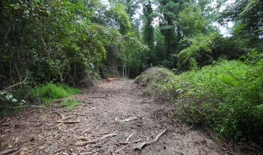 Photo of UNDER CONTRACT!  47 Acres of Timber and Hunting Land For Sale in Pitt County NC!