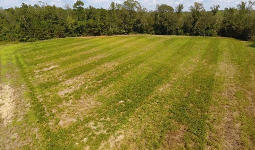 Photo of UNDER CONTRACT!  10 Acres of Farm and Residential Land For Sale in Columbus County NC!