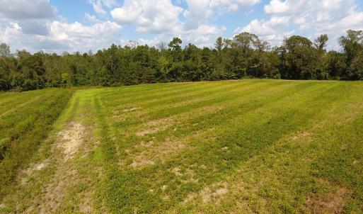 Photo of UNDER CONTRACT!  10 Acres of Farm and Residential Land For Sale in Columbus County NC!
