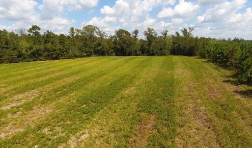 Photo of UNDER CONTRACT!  10 Acres of Farm and Residential Land For Sale in Columbus County NC!